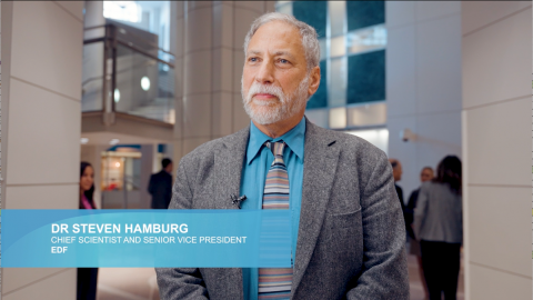 Interview with Dr Steven Hamburg from the Environmental Defence Fund #H2Americas2023